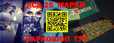 ПСИЛОЦИБИНОВЫЕ ГРИБЫ Кингисепп