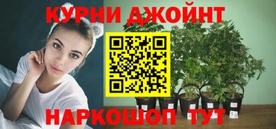 ПСИЛОЦИБИНОВЫЕ ГРИБЫ Кингисепп